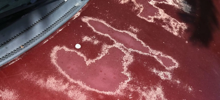 نکات و روش های رفع آفتاب سوختگی خودرو کدام اند؟