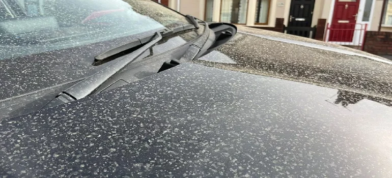 لکه های باران اسیدی