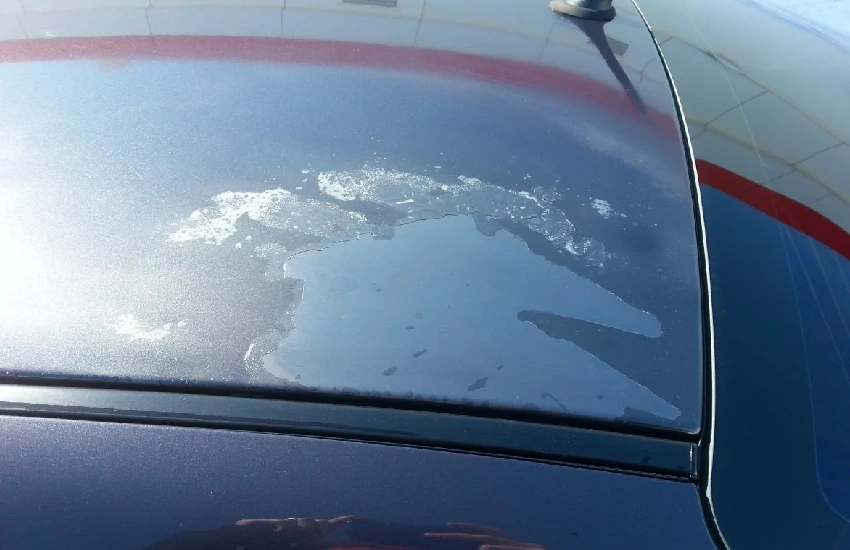 لکه باران اسدی